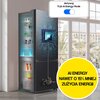 Lodówka SAMSUNG RB53DG706AB1EO Combi Max AI No Frost 203cm Grafitowa stal Liczba półek na butelki 0
