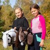 Koń na kiju SKIPPI Hobby Horse GAD02982 A3 Biały Wiek 3+