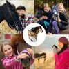 Kubek SKIPPI Koń Kolor Wielokolorowy