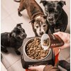 Karma dla psa FITMIN Medium Maintenance Drób z mięsem ryb i wątróbką 12 kg Smak Drób z rybą i wątróbką