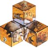 Puzzle magnetyczne SHASHIBO Wild Savanna 021-SHA24SV Typ Dla dzieci