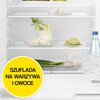 Lodówka ELECTROLUX LXB2AE82S Klasa klimatyczna SN