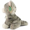 Maskotka RAPPA Eco-Friendly Kot 222595 Płeć Chłopiec