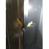 Lodówka HAIER HB26FSNAAA Side by Side No Frost 190cm Grafitowa Kostkarka System ABT Liczba pojemników na warzywa 2