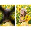 Filtr hybrydowy K&F CONCEPT KF01.2063 (52 mm) Powłoki Antyrefleksyjne