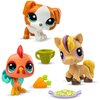 Zestaw figurek LITTLEST PET SHOP Pet trio LPS00646 (1 zestaw) Załączone wyposażenie Karta kolekcjonerska