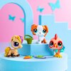 Zestaw figurek LITTLEST PET SHOP Pet trio LPS00646 (1 zestaw) Typ Zestaw figurek