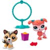 Zestaw figurek LITTLEST PET SHOP Zoo Chill Pet Pairs LPS00620 (1 zestaw) Załączone wyposażenie Karta kolekcjonerska