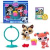 Zestaw figurek LITTLEST PET SHOP Zoo Chill Pet Pairs LPS00620 (1 zestaw) Płeć Chłopiec