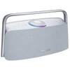 Głośnik mobilny TRONSMART Fiitune X30 Szary