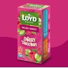 Herbata LOYD Dobry & Owocowy Malina i agrest (20 sztuk) Linia Dobry & Owocowy