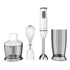 Blender AIWA Kenkiri ABL-800 Plus