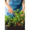 Donica KETER Easy Grow 230298 120 L Antracytowy Rodzaj Doniczka