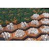Dodatek do gry REBEL Terraformacja Marsa Big Storage Box + elementy 3D (edycja polska) Gwarancja 24 miesiące
