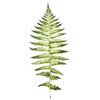 Gra planszowa REBEL Meadow Czas gry [min] 60 - 90