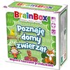 Gra karciana REBEL BrainBox Poznaję domy zwierząt