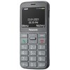 Telefon PANASONIC KX-TU160 Szary Aparat fotograficzny tylny Tak