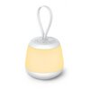 Lampka nocna LED NEWELL SeleneDream NL4496 Rodzaj gwintu LED zintegrowany