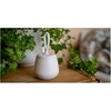 Lampka nocna LED NEWELL SeleneDream NL4496 Źródło światła w komplecie Nie