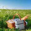 Torba termiczna REDCLIFFS + 2 x lunchbox i butelka Szary Model producenta 1073880