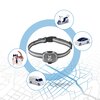 Lokalizator GPS dla psa i kota MKING MK16P Przeznaczenie Dla psa
