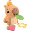 Maskotka FISHER-PRICE + Gryzak HYR54 Płeć Chłopiec