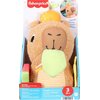 Maskotka FISHER-PRICE + Gryzak HYR54 Płeć Dziewczynka