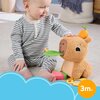 Maskotka FISHER-PRICE + Gryzak HYR54 Czujnik snu Nie