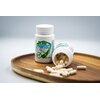 Suplement dla psa GAME DOG Flora Protect Probiotyk (60 kapsułek) Rodzaj Suplement diety