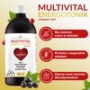 Suplement diety DOMOWA APTECZKA Multivital Energotonik (1000 ml) Rodzaj Suplement diety