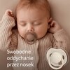 Smoczek LOVI Prime 34/438 18 m+ Różowy (2 sztuki) Materiał wykonania Silikon