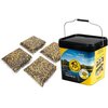 Zanęta CARP TARGET Mix ziaren Kukurydza Konopia Rzepik (12 kg) + Wiadro 17 l Rodzaj Na amura