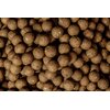 Kulki proteinowe CARP TARGET Ryba i Wątroba 20 mm (10 kg) + Wiadro 17 l Rodzaj Na karpia