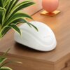 Na zdjęciu znajduje się biały, zaokrąglony produkt z napisem "BEAUTIFLY" na drewnianym blacie, obok zielonej rośliny i pomarańczowej kuli na złotej podstawce.