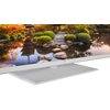Telewizor JVC LT-32VDF540W 32" LED VIDAA Częstotliwość odświeżania ekranu 50 Hz