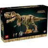 LEGO 76968 Jurassic World Szkielety dinozaurów: tyranozaur Wiek 18 lat