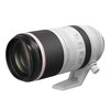 Obiektyw CANON RF 100-500 mm f/4.5-7.1 L IS USM Elementy asferyczne Nie