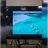 Telewizor SAMSUNG QE77S85D 77" OLED 120Hz Tizen TV Dolby Atmos HDMI 2.1 Zużycie energii HDR [kWh/1000h] 180