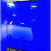 Telewizor SAMSUNG QE77S85D 77" OLED 120Hz Tizen TV Dolby Atmos HDMI 2.1 Nowe zużycie prądu 124 kWh = 142.6 zł