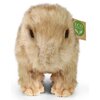 Maskotka RAPPA Eco-Friendly Kapibara 230743 Płeć Chłopiec