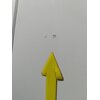 Lodówka AMICA BK34051.6 DFZOL Liczba pojemników na warzywa 2