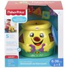 Klocki sensoryczne FISHER PRICE Garnuszek K0428 Seria Ucz się i śmiej!