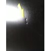 Lodówka SAMSUNG RB53DG706CB1EO Combi Max AI No Frost 203cm Grafitowa stal Liczba pojemników na warzywa 1