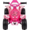 Jeździk elektryczny HUFFY Minnie Mini Quad 19075W Załączona dokumentacja Instrukcja obsługi w języku polskim