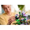 LEGO 10372 Botanicals Hibiskus Płeć Damska