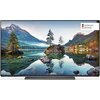 Telewizor METZ 55MOC9001 55" OLED 4K 120Hz Google TV Dolby Vision Dolby Atmos Zasilanie AC 100 - 240 V; 50/60 Hz