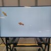 Telewizor SAMSUNG UE43DU8002 43" LED 4K Tizen TV Zużycie energii HDR [kWh/1000h] 106