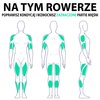 Rotor EVERFIT Welly E Załączona dokumentacja Instrukcja obsługi w języku polskim