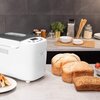 Wypiekacz do chleba CECOTEC Chleb&Co 1500 PerfectCook (44 x 28.8 x 35.5 cm) Rodzaj wypieku Pełnoziarniste
