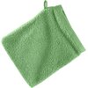 Zielona myjka kąpielowa o wymiarach 16 x 21 cm, wykonana z materiału o gładkiej teksturze, z pętelką do zawieszenia. Produkt ma prostokątny kształt i jednolitą kolorystykę.